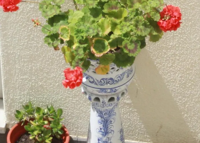 Dona Leonor Hotel 3*